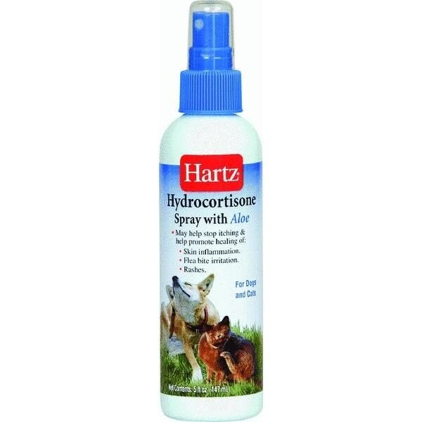 Body Fortress Vanilla Ready To Drink 4/11z 621293 Zoro